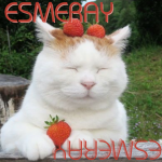 ׂ༊| Esmeray
