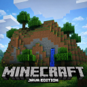 Minecraft: java edition 4