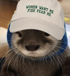 We Are Otters