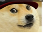The doge fans Group