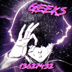 GEEK大
