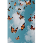 Flying butterfly's