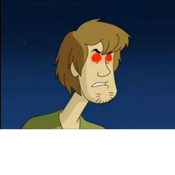 Fight Shaggy
