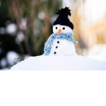 Snobloxians