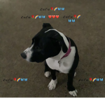 1lykenz_