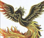 OP PHOENIXS