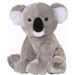 Koala Bear Fan Group