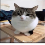 YzhKan