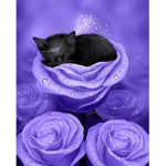 Warrior kitty army