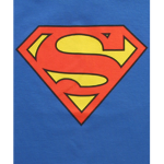 The ROBLOX Superman Club