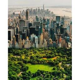 new york