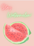 THE BEST WATERMELONS EVER