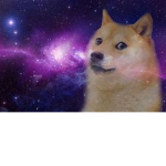 Galaxy doge fan club