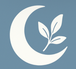 Solace Labs