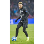 THE Neymar jr. Group
