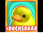 #TEHDUCKSQUAD (BACKUP)