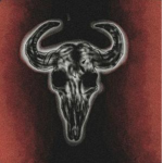 [RSG] Red Skull Gang