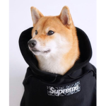 [SUPREME] Moon Deity Clothes