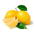 Lemon Ing