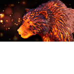 Bearmaskcrewhot