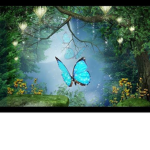 Peaceful Forest clothing