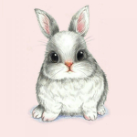 The Bunny’s!