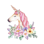 Savage Unicorn's Welcome