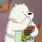 Freezing Bears!!