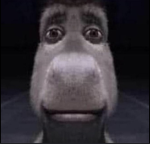 V0CCX TB