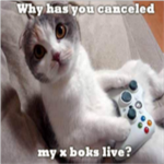 the_PURR-fect_group