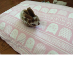 Bunny Loves Fan Group