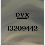 dvXReborn