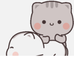 Kitten witty group