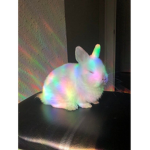 Rainbows Fan's Club