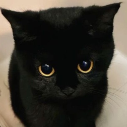 ★