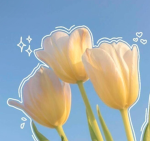 Flor (flower)