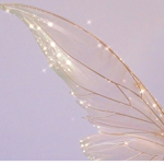My Fairy Dreams