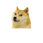 Doge clan for doge memers and dank memers