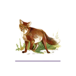 Ice block fox