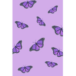~ beyondcute ~