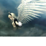 The Killing Angels!