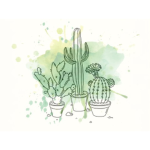 Cactus Clothing Studios