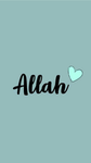 I love Allah and all the prophets