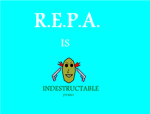 R.E.P.A. (Roblox Epic Protection Assosiation