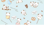 ~Mochi Mochi panda~