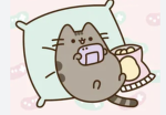 Hi kitty time :3