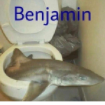whipnaenae