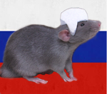 The Russian Rats of Russia