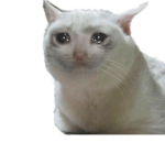 RT_$