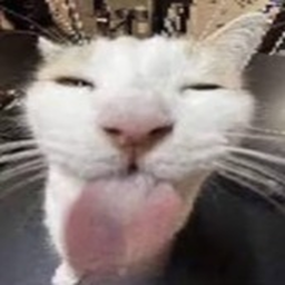 40%